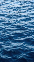 Obraz premium Serene ocean waves: calm blue sea surface with gentle ripples