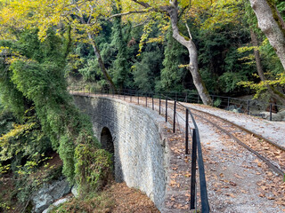 Historic railway bridge curving through forest in autumn with lush greenery and fallen leaves