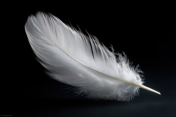 Macro close-up of a white feather, high-contrast on black surface