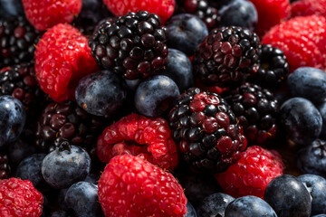 ベリーの集合