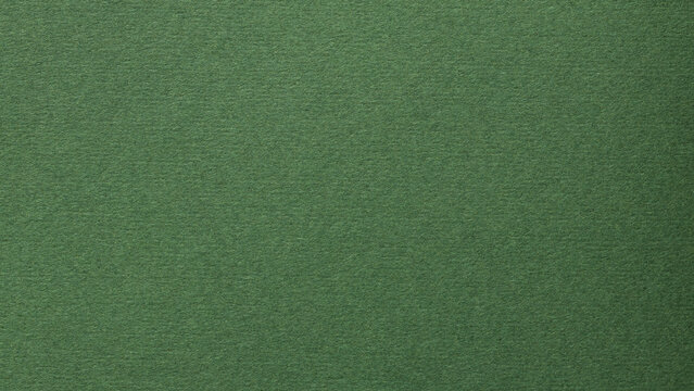 Eco-Friendly Handmade Paper with Rough Fibrous Green Texture