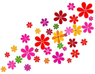 Colorful floral petals arranged on a diagonal white backdrop