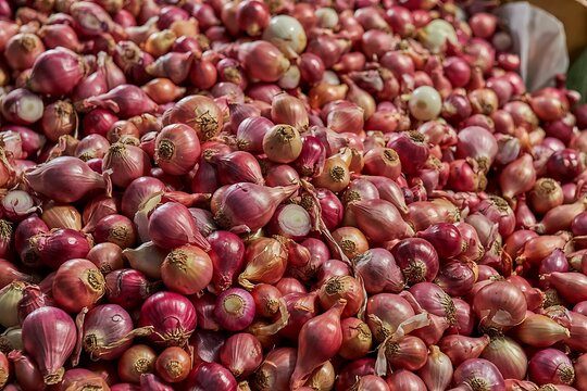 Large pile of fresh shallots displayed at market for sale