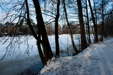 Winter landscape with frozen lake and bare trees in the city park.