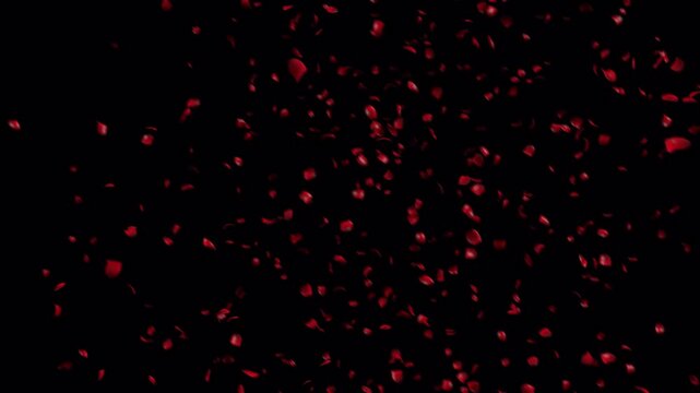Red rose petals are thrown from one side and fall slowly.Alpha channel. Occupies the entire screen, dreamy and beautiful.Used for advertising or wedding videos, stage atmosphere, dacne backgrounds.
