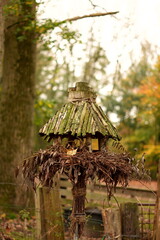 bird feeder in garden
