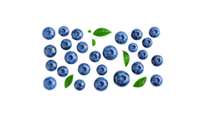 Blueberries on a white background
