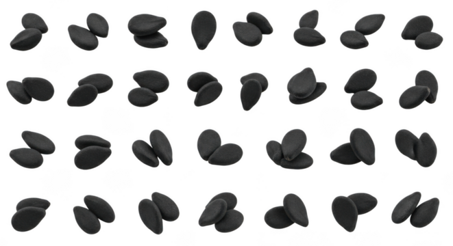 Seed isolated on transparent background