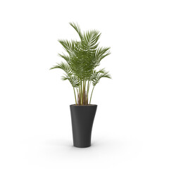 A tall green potted palm plant with lush foliage in a dark gray vase