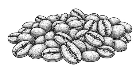 Engraved coffee beans pile in vintage style