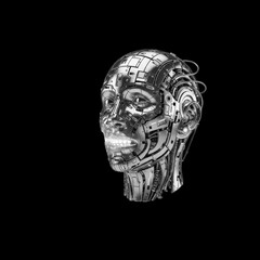Detailed Metallic Robot Head with Intricate Mechanical Components cyborg android