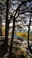 Sunlit overlook among trees on a rocky cliff at Garden of the Gods, Colorado Springs, in autumn
