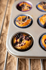 Blackberry muffins on rustic background. Selective focus.