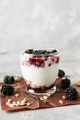 Yogurt parfait with granola and blackberry in glass on the rustic background.
