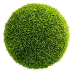 Round, vibrant green grass sphere