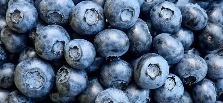 Blueberries as a background.