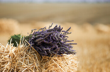 Bouquet of fresh lavender on a haystack in a field