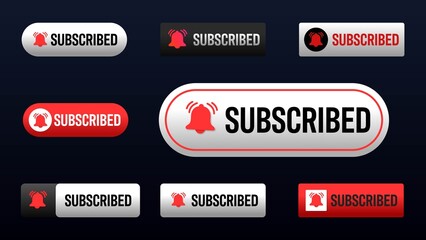 Clean Modern Subscribe Button