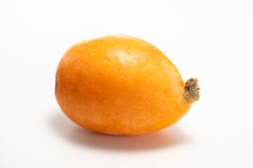 ビワの果実　白バック