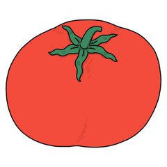Cute Tomato Cartoon - Line Color