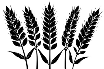 Fototapeta premium Elegant Silhouette Wheat | Clean, isolated vector art for creative projects.