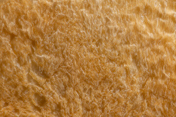 食パンの焼き目のクローズアップ