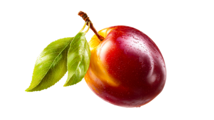 Plum with Leaves and Water Droplets