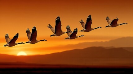 Birds in flight grace the sunset canvas. A symphony of wings against a golden sky, soaring towards the horizon in elegant formation.