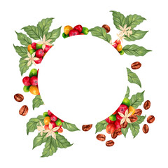 Round frame of coffee branches with leaves, coffee berries, beans, flowers. Watercolor illustration with space for text. Hand drawn isolated art. Coffee Day. For packaging, logos, menu, invitations