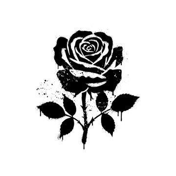 Graffiti stencil of a blooming rose flower with dripping black spray paint