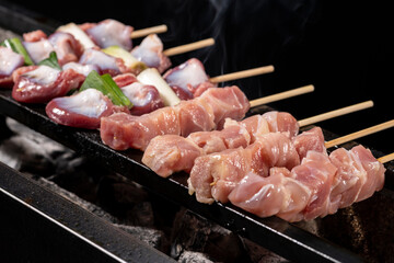 炭火焼き鳥 クローズアップ