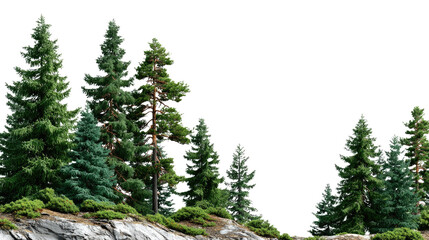 Fototapeta premium Emerald Canopy: Lush evergreen trees stand tall on a rocky outcrop, their vibrant needles contrasting against the sky, symbolizing the resilience and enduring beauty of nature.