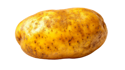 Single Raw Potato With Textured Skin