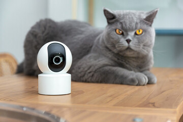 Plakat CCTV security camera, Security camera high Technologies smart home security digital lifestyle with cute pets