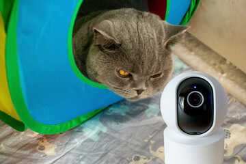 CCTV security camera, Security camera high Technologies smart home security digital lifestyle with cute pets