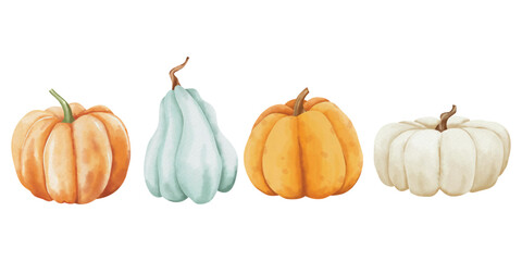 Watercolor autumn gourds and pumpkins arrangement with varied shapes and colors