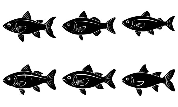 Captivating black and white fish shoal, ideal for marine biology resources, seafood restaurant menus, fishing guides, and aquatic nature designs