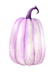 Watercolor purple pumpkin isolated on white background. Autumn element for design Thanksgiving, Halloween, Harvest, fall cards, invitations, posters, stickers, textil print.
