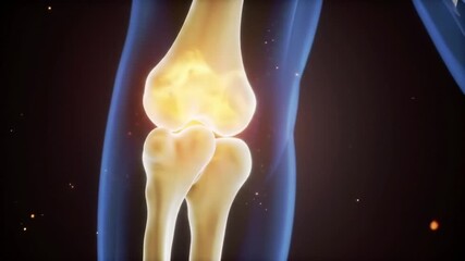 Animated Knee Joint with Inflammation and Blue Overlay Medical Visualization - Powered by Adobe