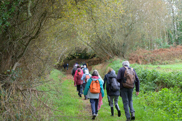 groupe de randonneurs seniors en Bretagne