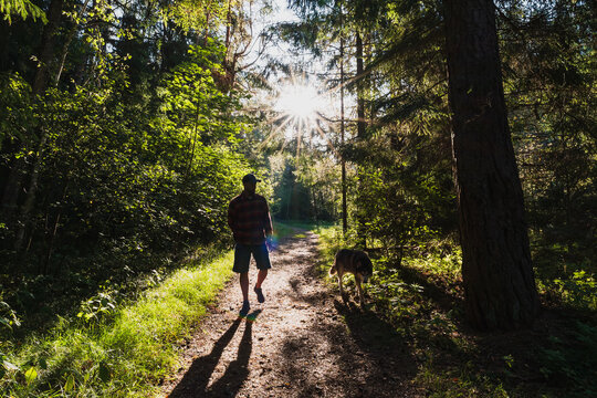 Man with dog walks on forest trail as bright sun bursts through trees, creating long shadows in beautiful Estonian nature. - Powered by Adobe