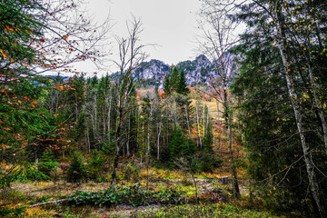 Landscapes of Kalkalpen National Park in Austria