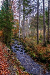 Landscapes of Kalkalpen National Park in Austria