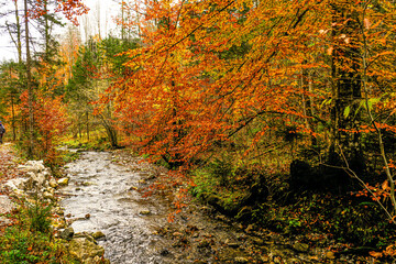Landscapes of Kalkalpen National Park in Austria