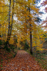 Landscapes of Kalkalpen National Park in Austria