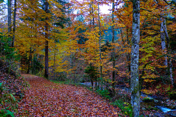Landscapes of Kalkalpen National Park in Austria