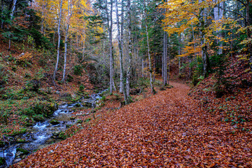 Landscapes of Kalkalpen National Park in Austria