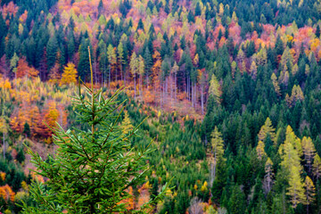 Landscapes of Kalkalpen National Park in Austria