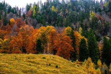 Landscapes of Kalkalpen National Park in Austria