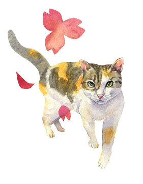 Blossoming Heart Cat